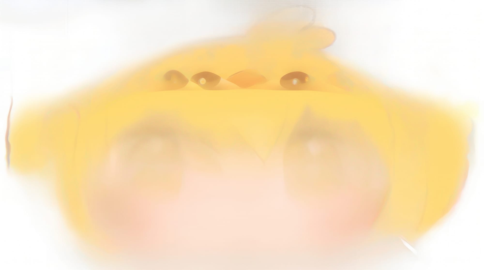 When You Say You Did, But You Didn't